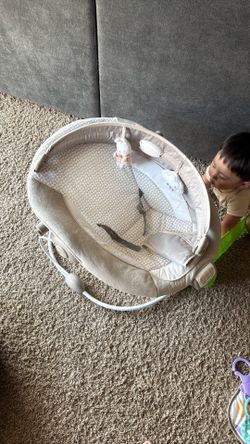 Baby Bouncer