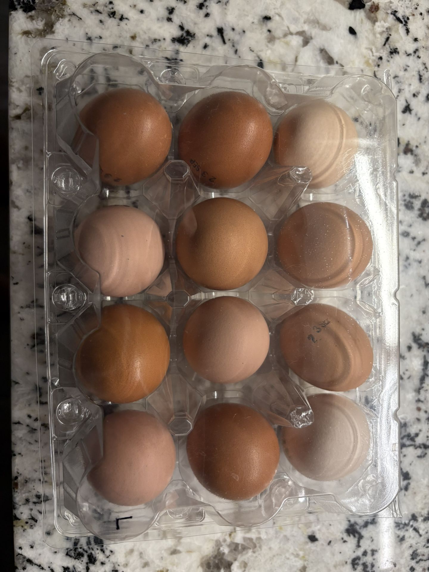 One Dozen Farm-Fresh Eggs