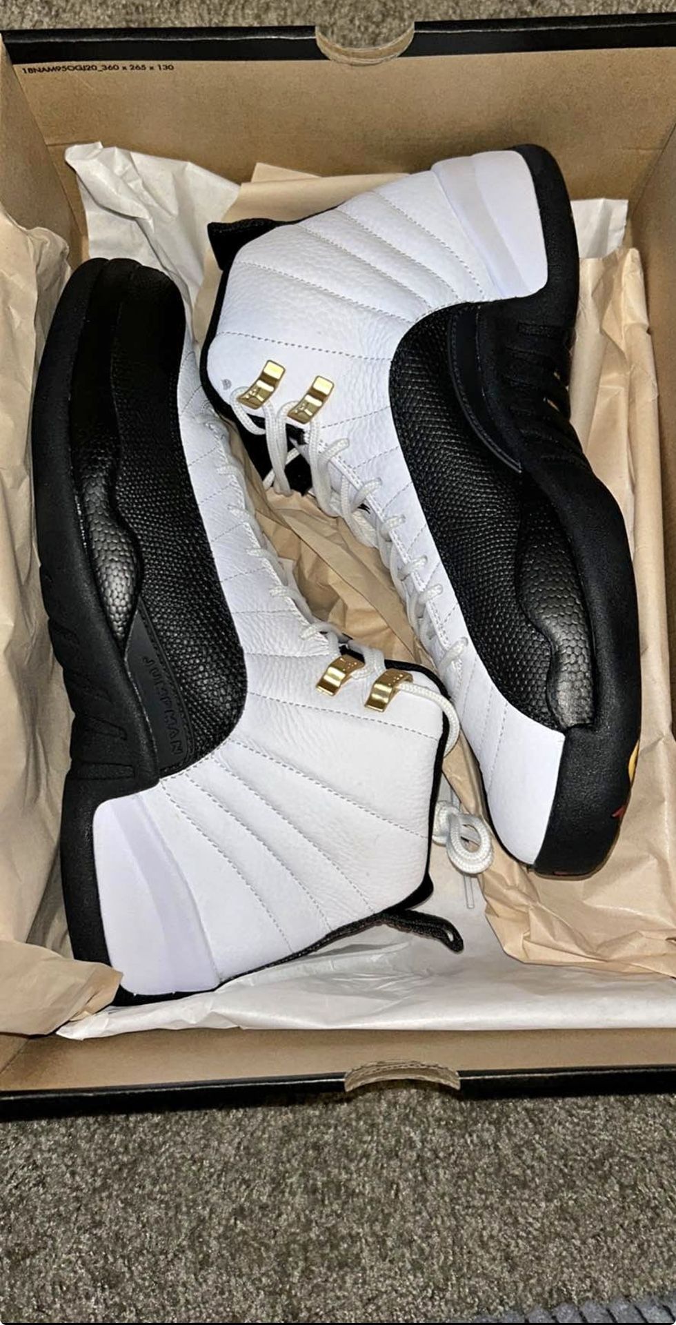 Air Jordan 12 “Taxi” 2025 – Men’s Size 10