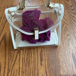 Clear/see-through many purse with handle and lack closure