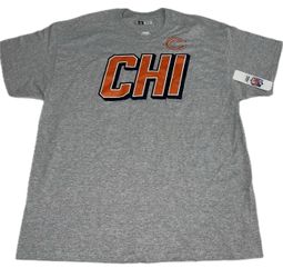 Chicago Bears Chi Gray T Shirt Mens Medium - 2XL New NFL Team Apparel