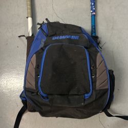 Baseball Bag, Bats, Gloves