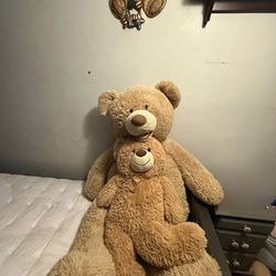 One XL Teddy Bear and one M Teddy Bear 🧸 both for $50