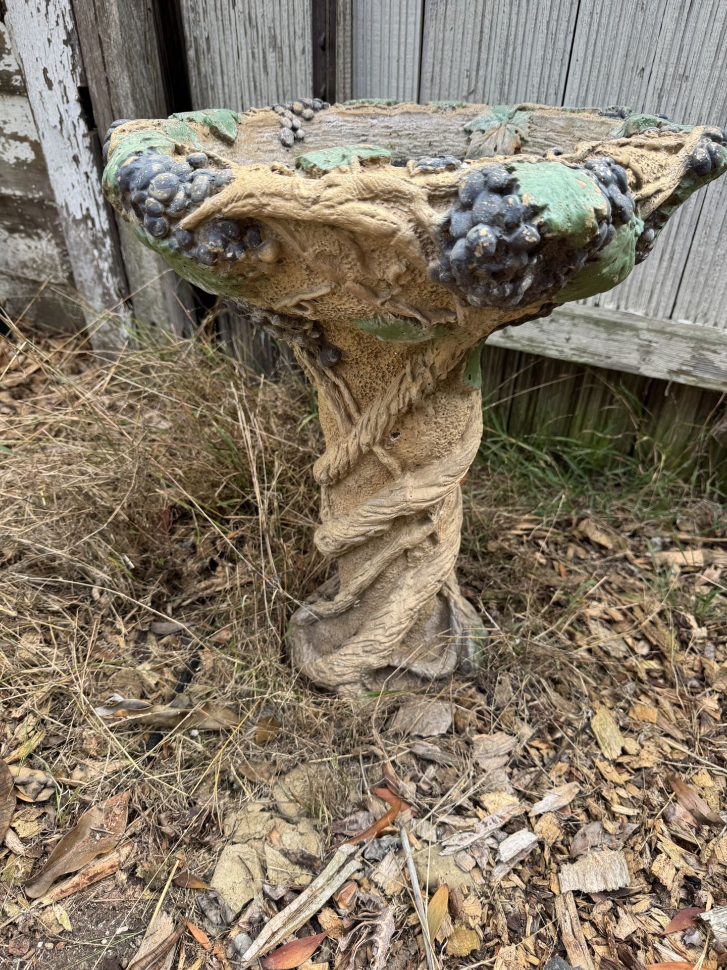 Bird Bath
