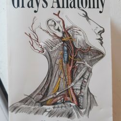 Grays Anatomy Book