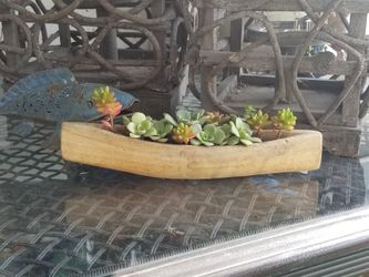 Planter with succulents