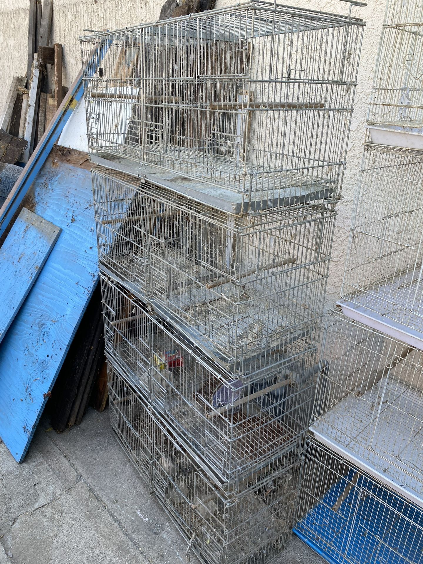 Used Bird Cages