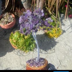 Amethyst Crystal Tree