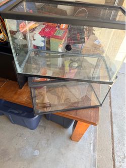 2 10 gallon tanks with screen tops