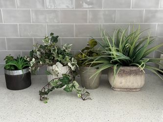 lot of 4 faux artificial potted plants: ivy + succulents spider