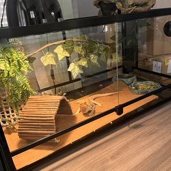 Bearded Dragon Setup for Rehoming – Everything Included