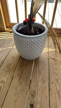 Flower Pot