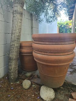 XXL Huge Tarracotta Pots