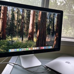 Apple Cinema Display 24” monitor