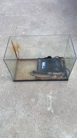 10 gallon aquarium