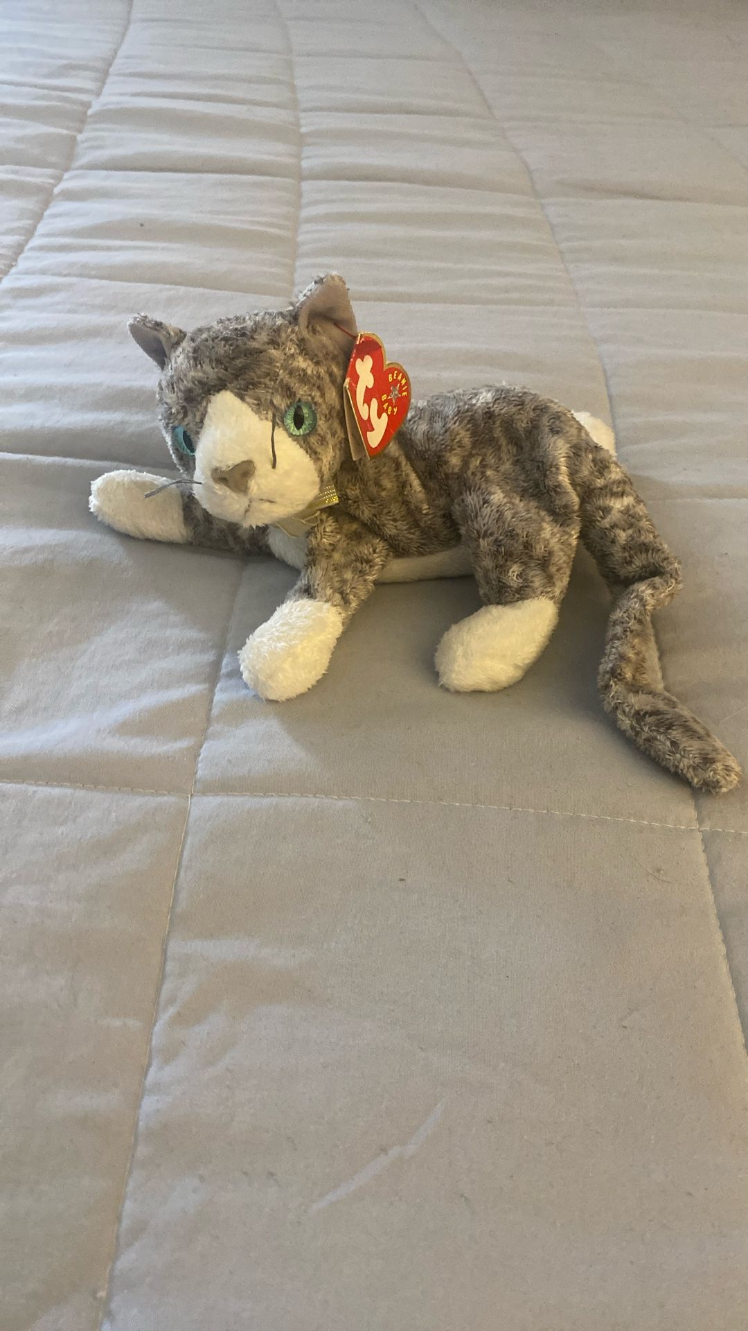 TY Beanie Baby Collectible “Purr”