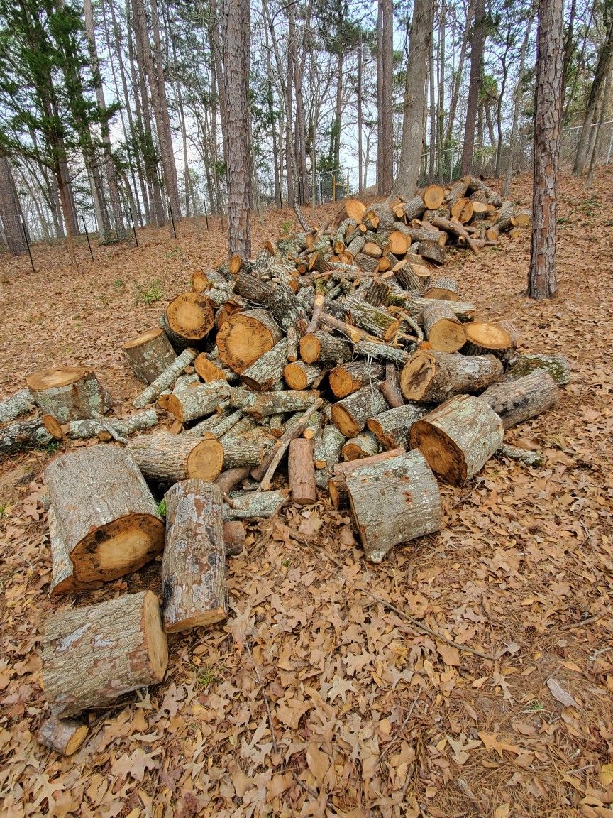 Large Pile Of Pine And Oak Firewood 