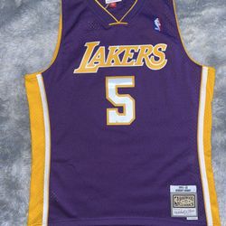 Robert Horry 1999-00’ Los Angeles Lakers Mitchell & Ness Swingman Jersey 