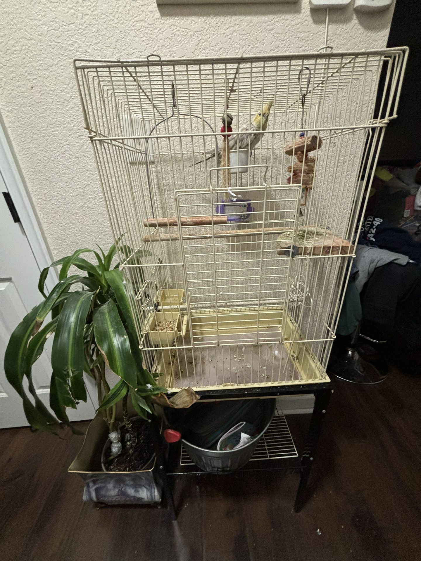 Bird Cage With Everything Inside Included 