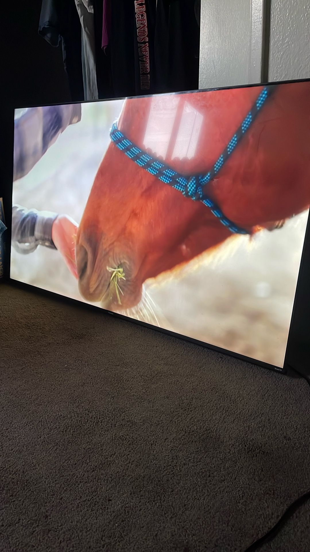 65 inch Roku Tv