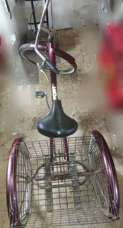 Schwinn meridian adult tricycle