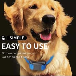 Bark Training Collar  Safe And Humane