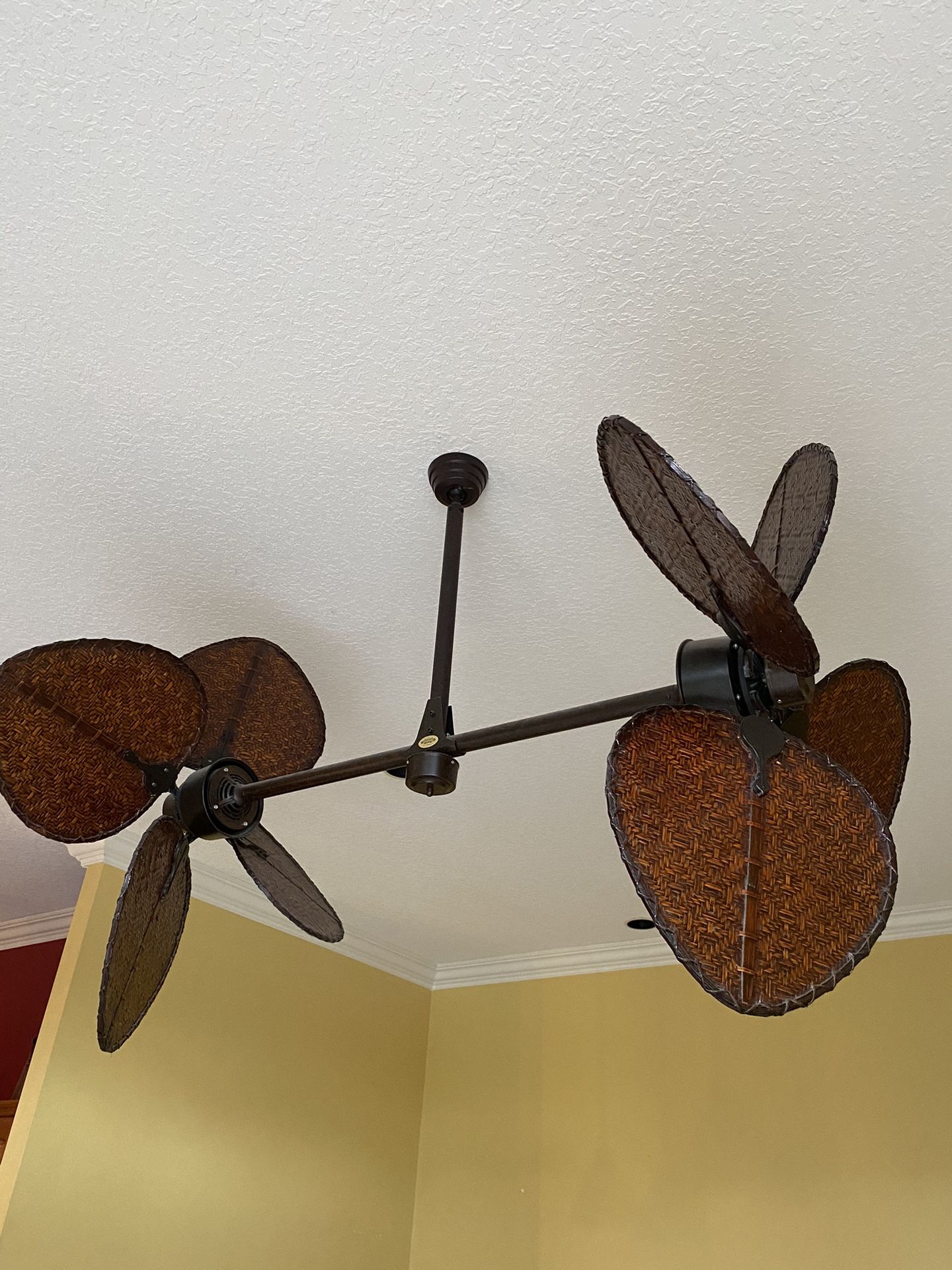 Fanimation Palisade 8 Blade Dual Fan