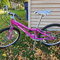 Girl's Trek Bicycle 24"