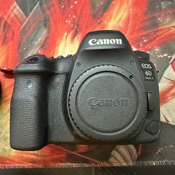 Canon EOS 6d Mark II + Canon EF 85mm 1.8 F-stop