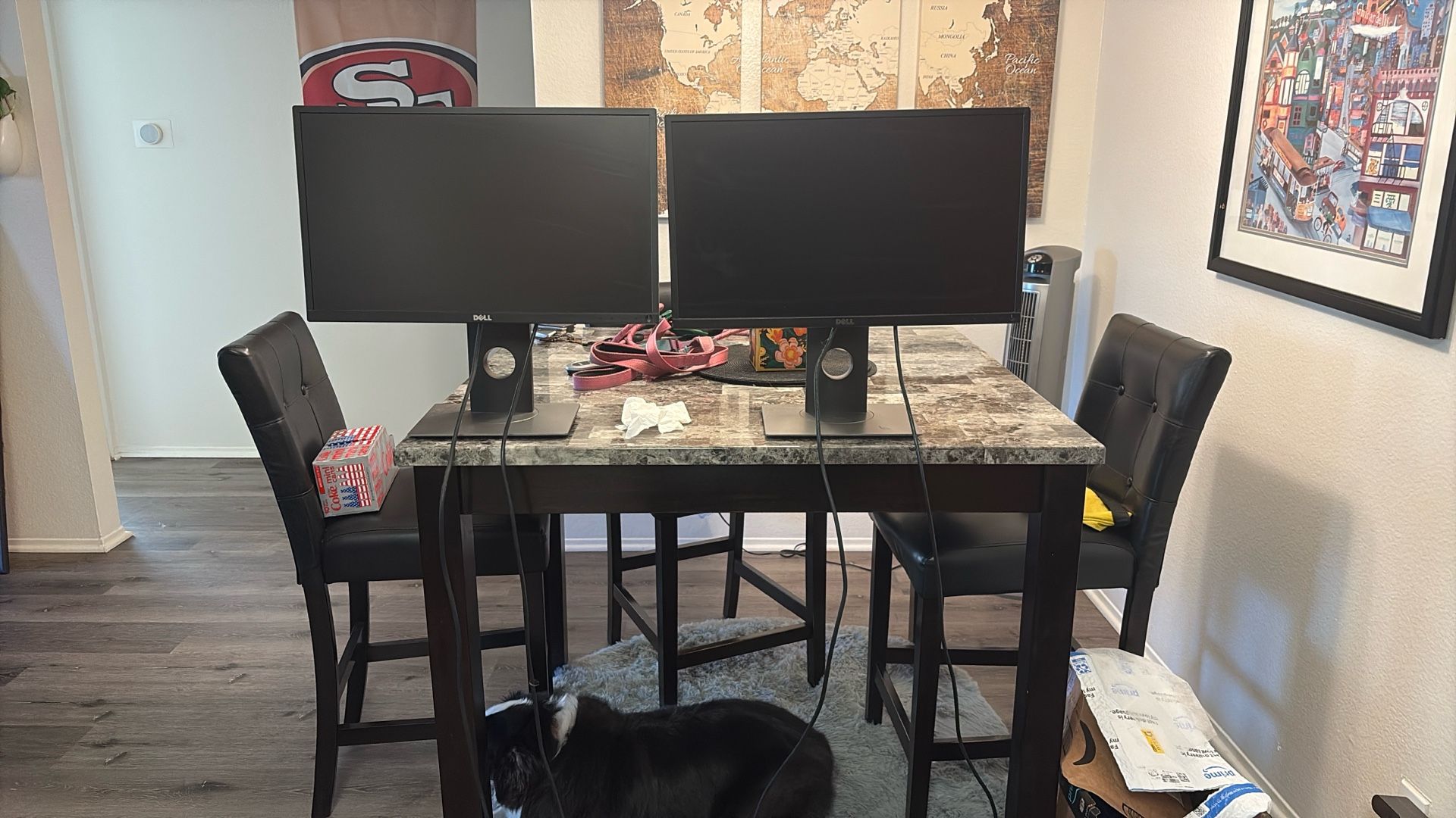 2 Dell 21 Inch Monitors.