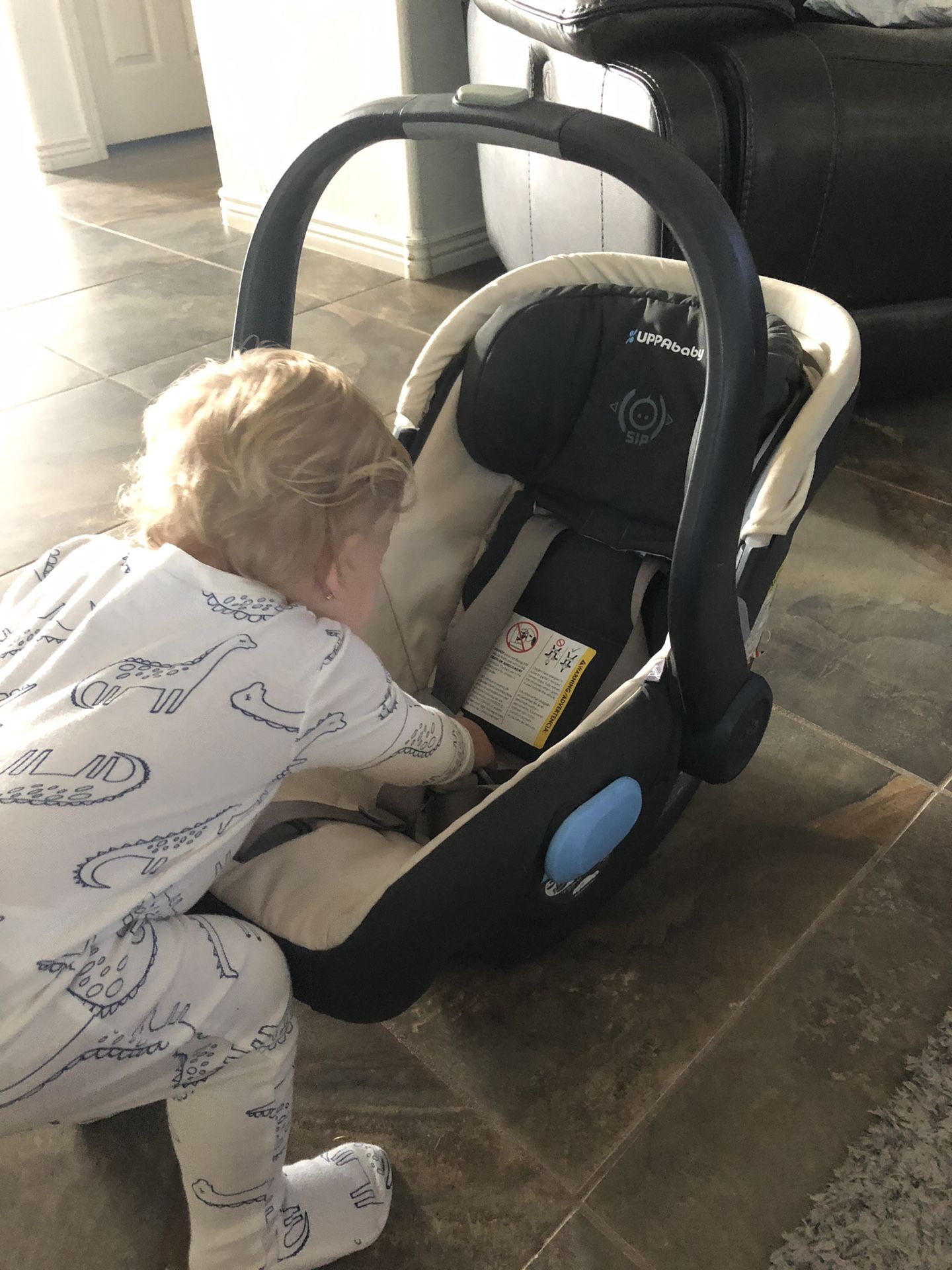 UPPAbaby Mesa Car Seat