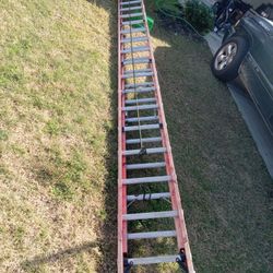 40 Ft Ladder