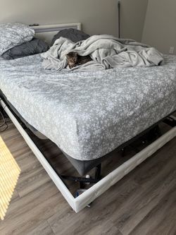 Adjustable Base + Sealy Mattress + Bed Frame