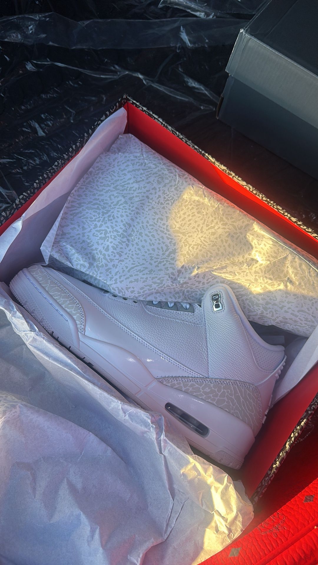 Brand New Jordan 3 Retro Pure Money 