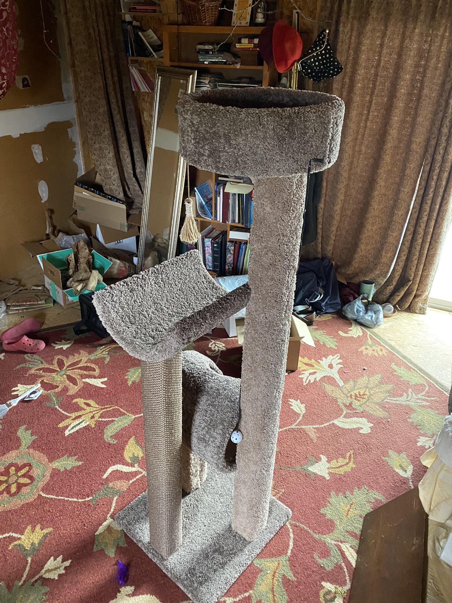 Cat condo 