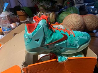Lebron xi gs y7