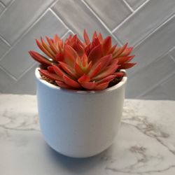Faux Succulent Plant