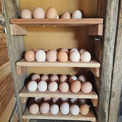 Fresh BackYard Chicken Eggs