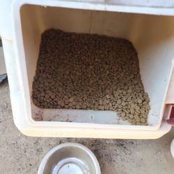 Dog Food Donation. Best Offers
