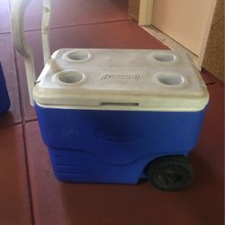 Cooler Coleman 
