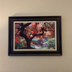 Picture Tree Of Life