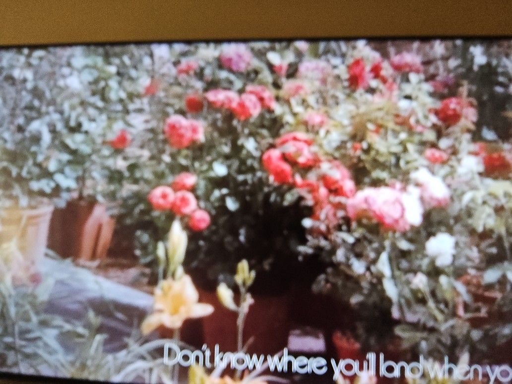 Tcl roku TV.