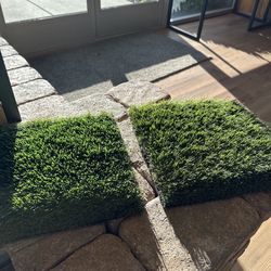 Artificial Grass Turf
