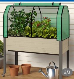 Self-Watering Elevated Spruce
Planter with Greenhouse & Bug