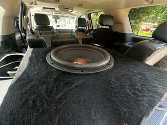Massive hippo 15 with Box