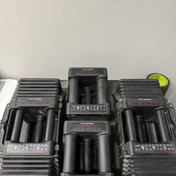 Power Block Dumbbells 12.5-125lbs with stand
