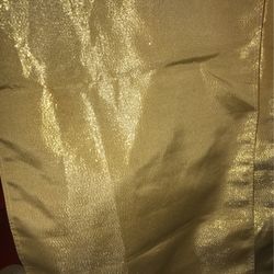Shiny Gold Runner
