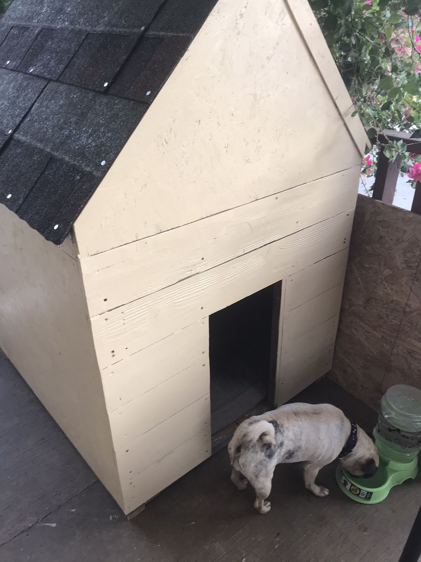 Dog house