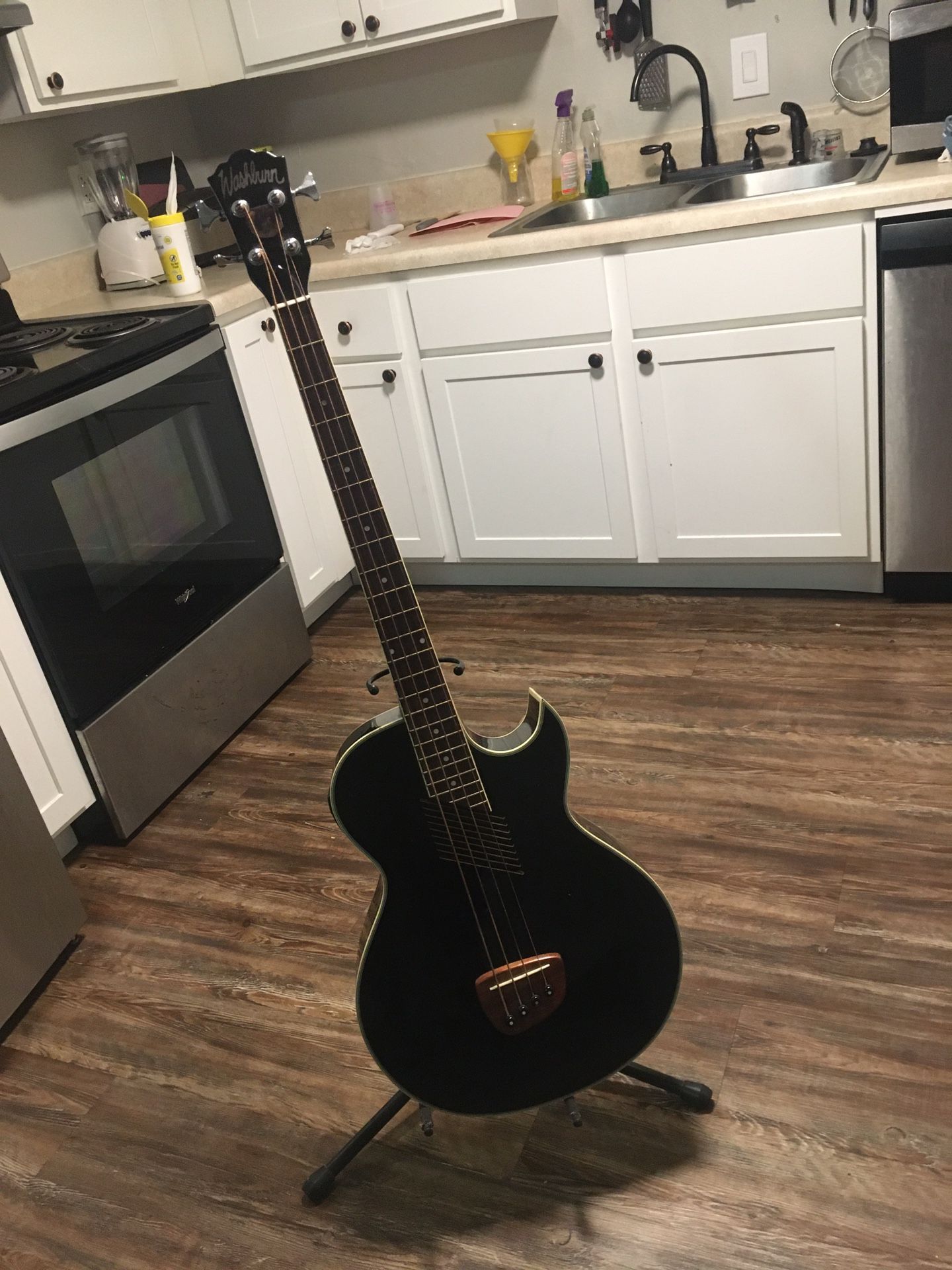 Washburn Guitar,
