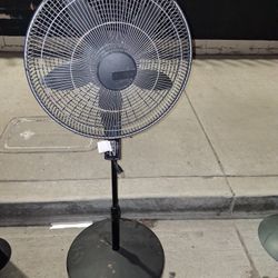 Fan 